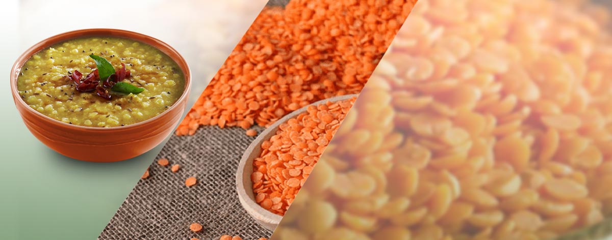 Thiruppathy Dhall Mill