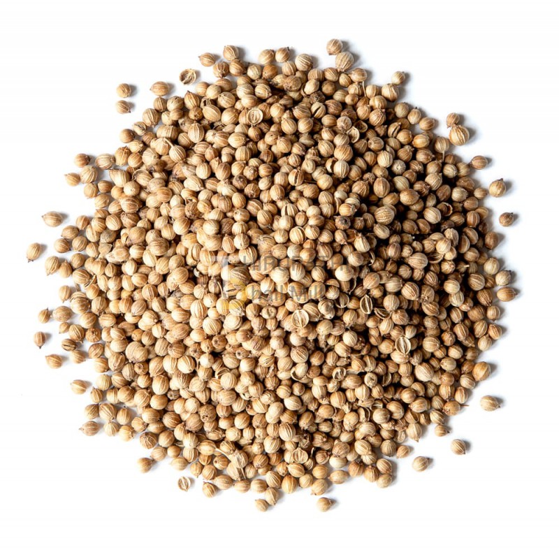 Coriander-Seeds