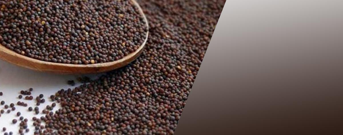 Thiruppathy Dhall Mill