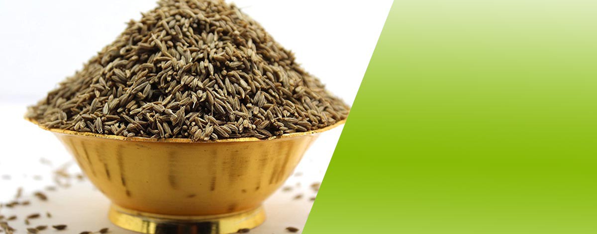 Thiruppathy Dhall Mill